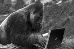 Picture for event Open Programming meeting